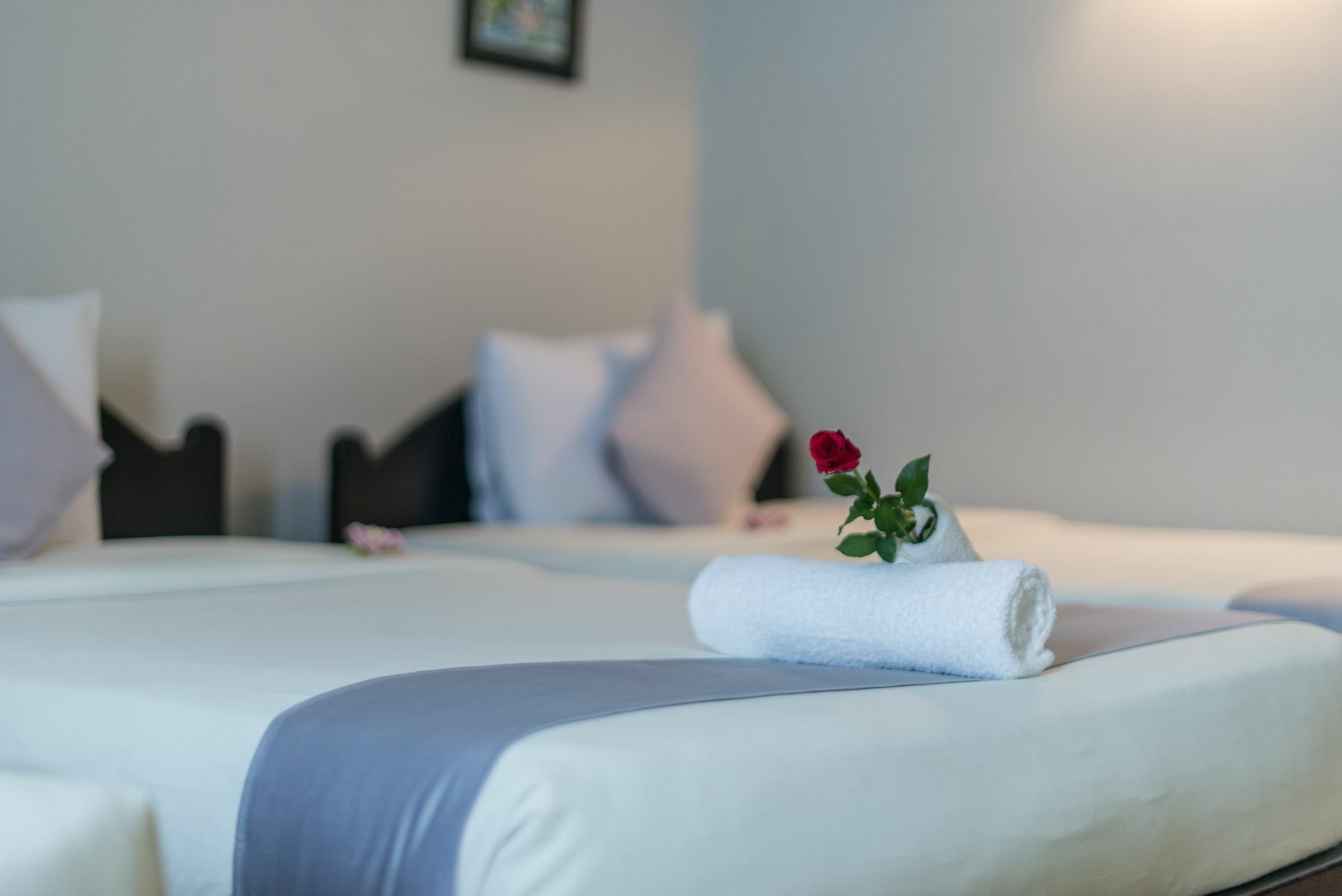Jk Resident Hotel Siem Reap Exterior photo